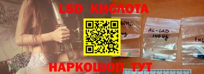 spice Новодвинск