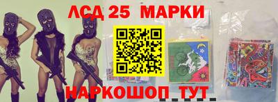дмт Новокубанск