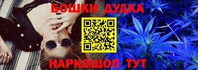 spice Новодвинск