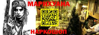 дмт Новокубанск