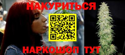 spice Новодвинск
