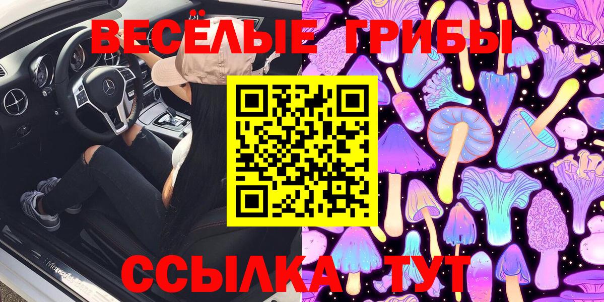 Галлюциногенные грибы Cubensis  Галлюциногенные грибы Cubensis  Тулун  Вход с VPN 